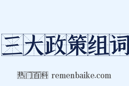 三大政策组词是什么意思的图片